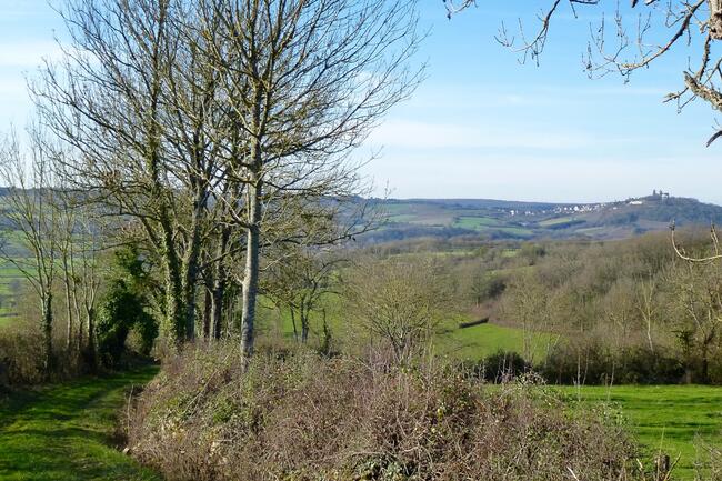 Onderweg naar Tharoiseau: vergezicht naar Vézelay