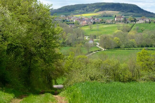 Vallei van de Yonne: afdaling richting Asnois 