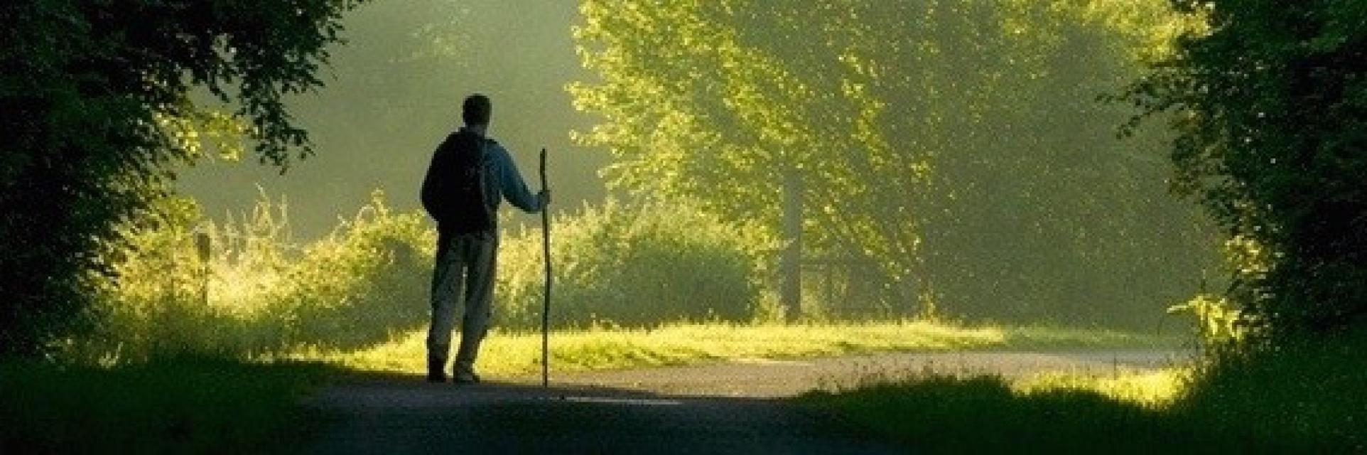 Tijd nemen om te observeren